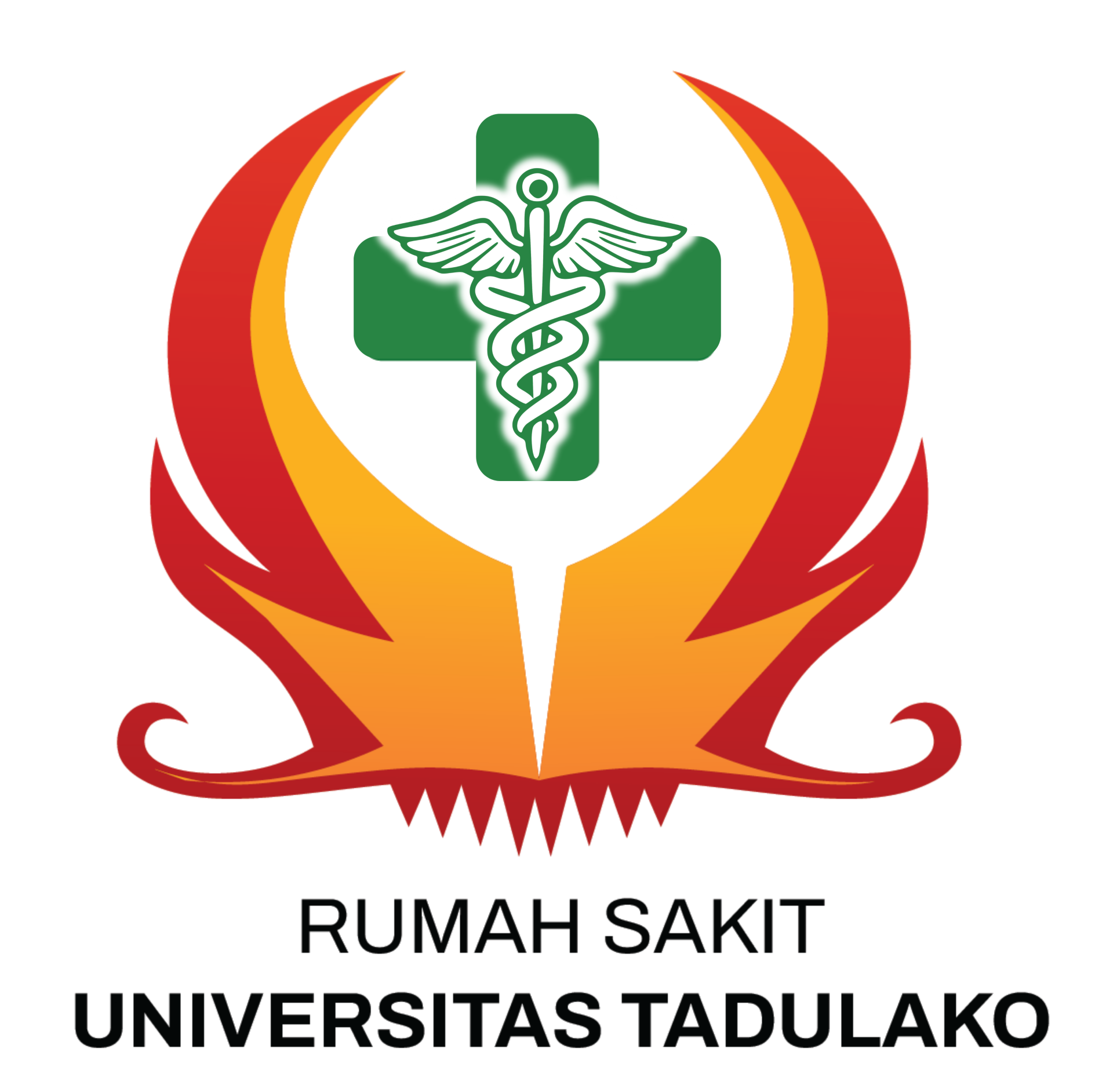 Logo RSU Tadulako